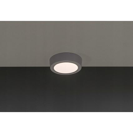 LED Ceiling light GERRIT LED/6W/230V 3,000K