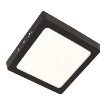 LED Ceiling light GERRY LED/12W/230V 4000K black