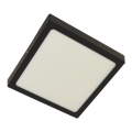 LED Ceiling light GERRY LED/18W/230V 4000K black