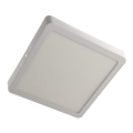 LED Ceiling light GERRY LED/18W/230V 4000K white