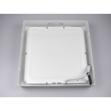 LED Ceiling light GERRY LED/18W/230V 4000K white