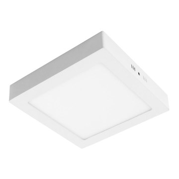LED Ceiling light GERRY LED/24W/230V 3,000K