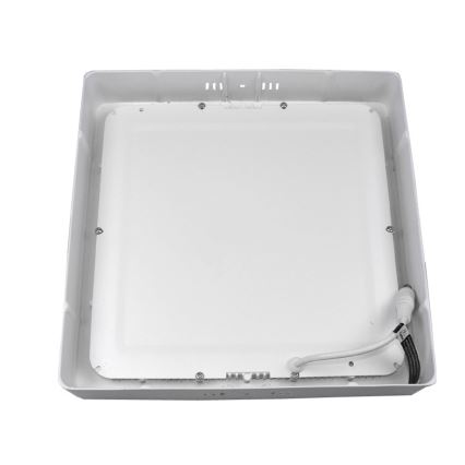 LED Ceiling light GERRY LED/24W/230V 3,000K