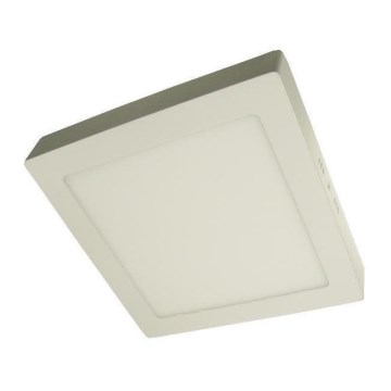 LED Ceiling light GERRY LED/24W/230V 4,000K