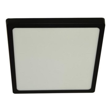 LED Ceiling light GERRY LED/24W/230V 4000K black