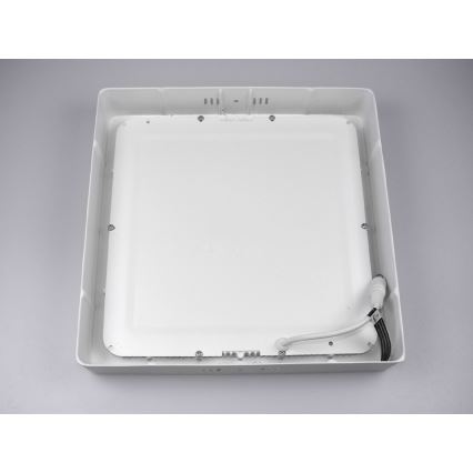 LED Ceiling light GERRY LED/24W/230V 6,000K