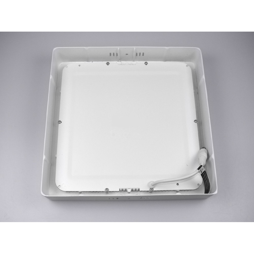 LED Ceiling light GERRY LED/24W/230V 6,000K