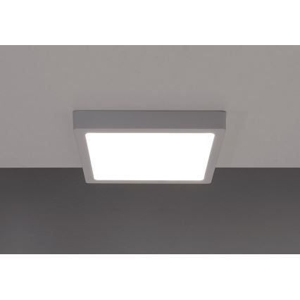 LED Ceiling light GERRY LED/6W/230V 4000K