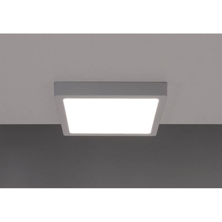 LED Ceiling light GERRY LED/6W/230V 4000K