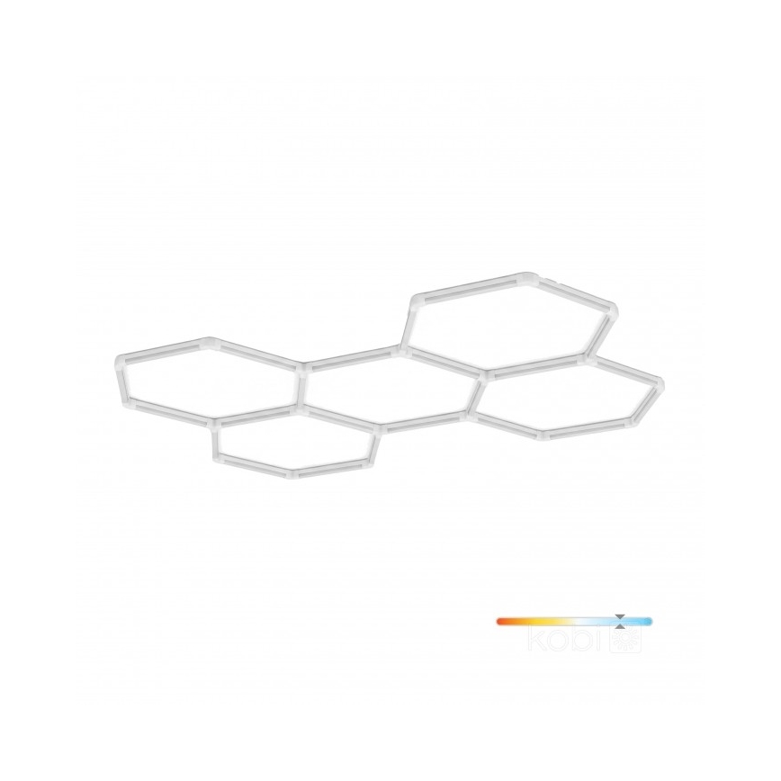 LED Ceiling Light HEXLINE LED/216W/230V 6500K 208x300 cm white