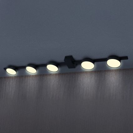 LED Ceiling light JOY 5xGX53/6W/230V black