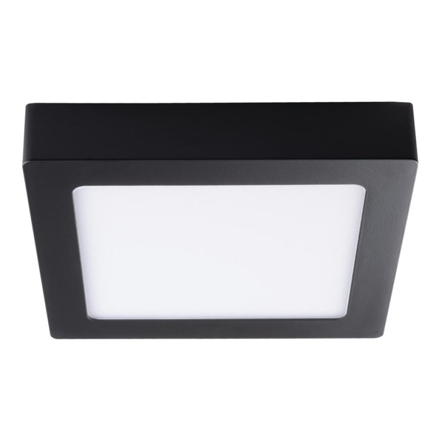 LED Ceiling light KANTI LED/12W/230V 4000K black