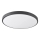 LED Ceiling light KERN LED/15W/230V black