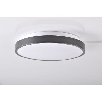 LED Ceiling light KERN LED/15W/230V black