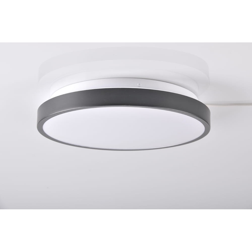 LED Ceiling light KERN LED/15W/230V black