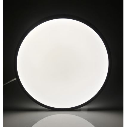 LED Ceiling light KERN LED/15W/230V black