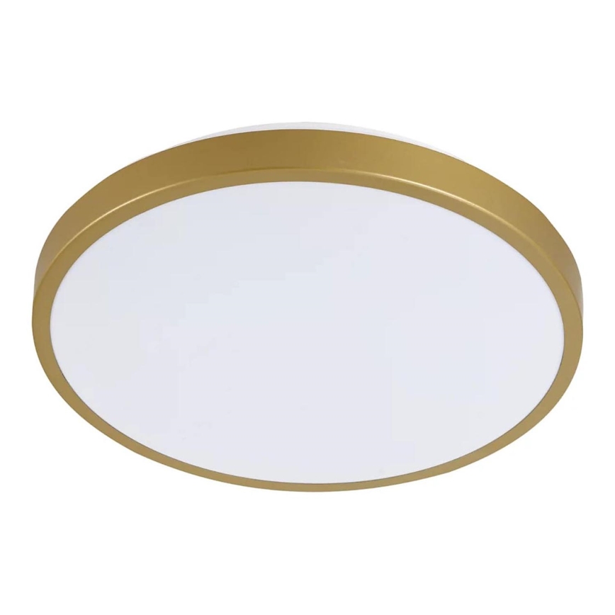 LED Ceiling light KERN LED/15W/230V d. 29 cm