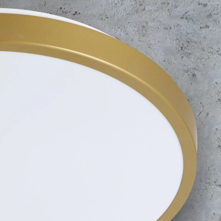 LED Ceiling light KERN LED/15W/230V d. 29 cm