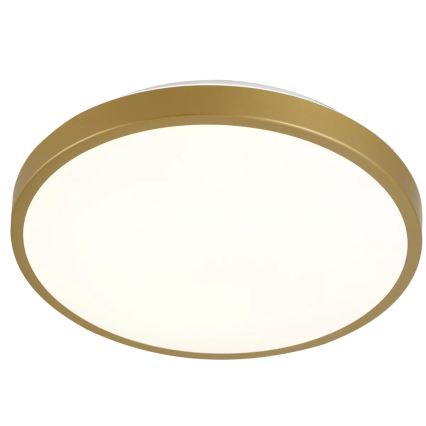 LED Ceiling light KERN LED/15W/230V d. 29 cm