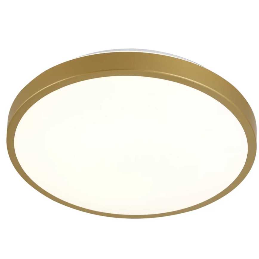 LED Ceiling light KERN LED/15W/230V d. 29 cm