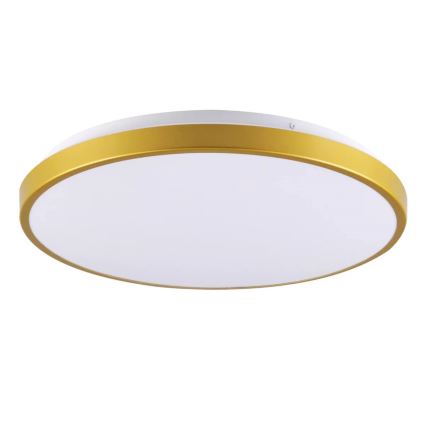 LED Ceiling light KERN LED/15W/230V d. 29 cm