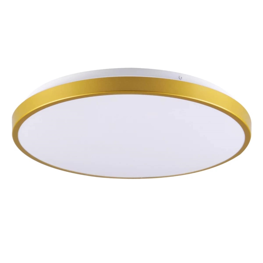 LED Ceiling light KERN LED/15W/230V d. 29 cm