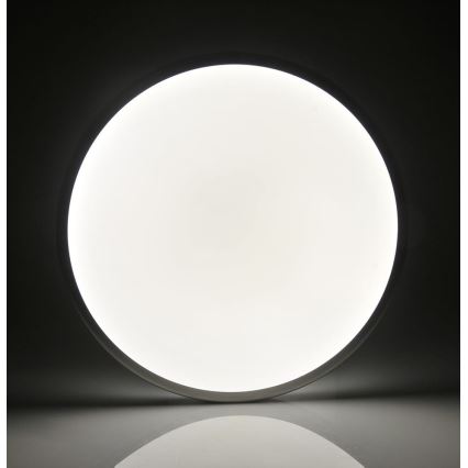 LED Ceiling light KERN LED/15W/230V nickel