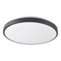 LED Ceiling light KERN LED/24W/230V black
