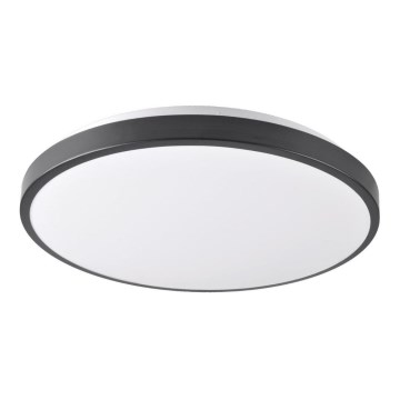 LED Ceiling light KERN LED/24W/230V black