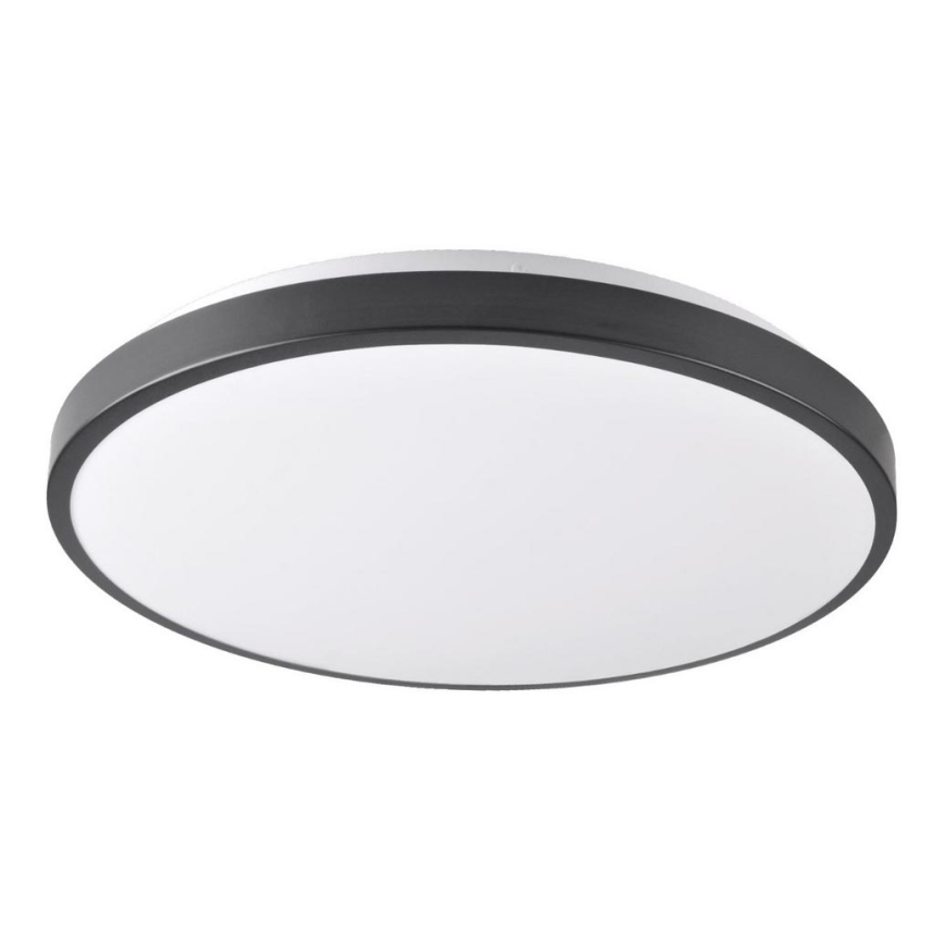 LED Ceiling light KERN LED/24W/230V black