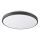 LED Ceiling light KERN LED/24W/230V black