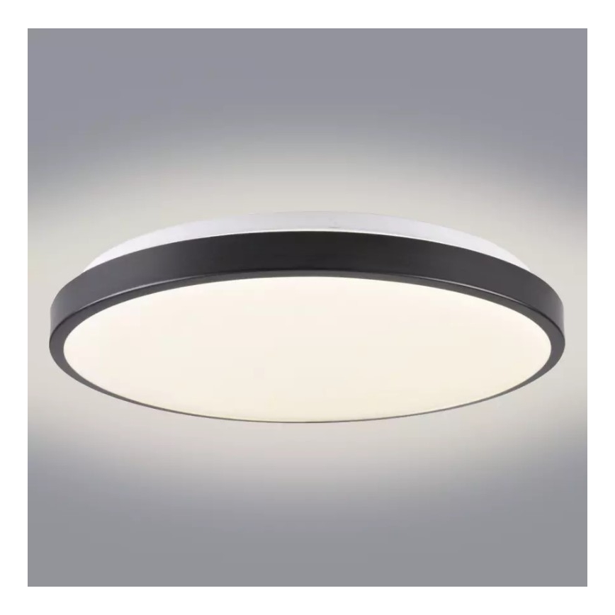 LED Ceiling light KERN LED/24W/230V black