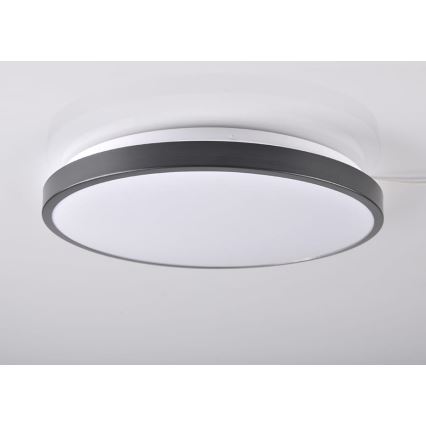 LED Ceiling light KERN LED/24W/230V black