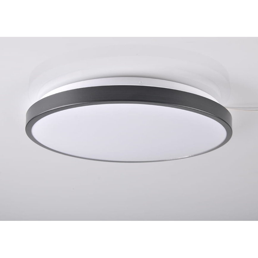 LED Ceiling light KERN LED/24W/230V black