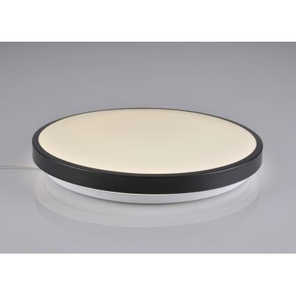 LED Ceiling light KERN LED/24W/230V black