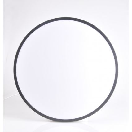 LED Ceiling light KERN LED/24W/230V black
