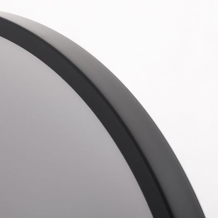 LED Ceiling light KERN LED/24W/230V black