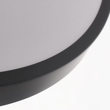 LED Ceiling light KERN LED/24W/230V black