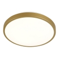 LED Ceiling light KERN LED/24W/230V d. 39 cm