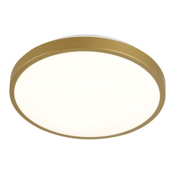 LED Ceiling light KERN LED/24W/230V d. 39 cm
