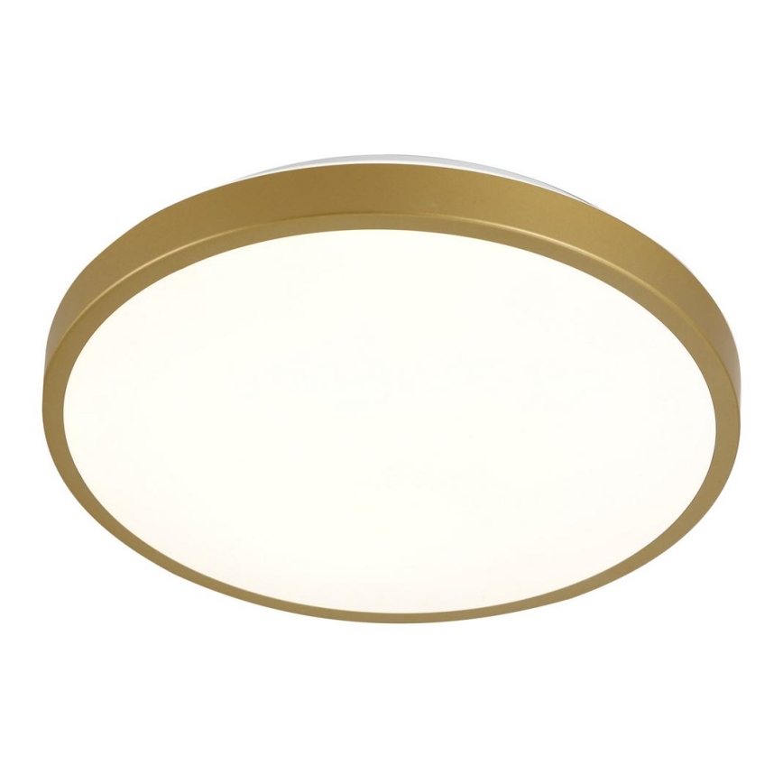 LED Ceiling light KERN LED/24W/230V d. 39 cm