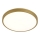 LED Ceiling light KERN LED/24W/230V d. 39 cm