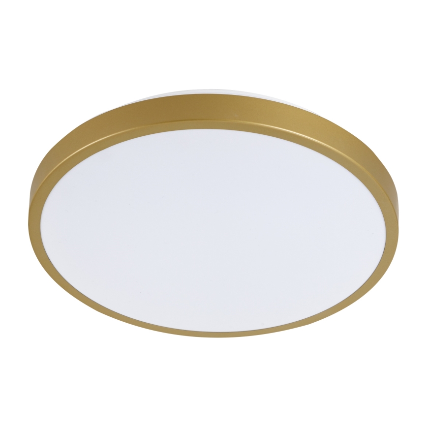 LED Ceiling light KERN LED/24W/230V d. 39 cm