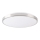 LED Ceiling light KERN LED/24W/230V nickel