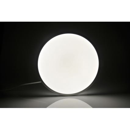 LED Ceiling light KERN LED/24W/230V nickel