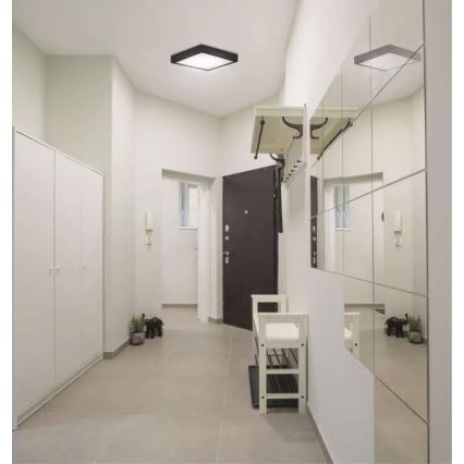LED Ceiling light NEXXO LED/12,5W/230V 3000/3500/4000K 17x17 cm black