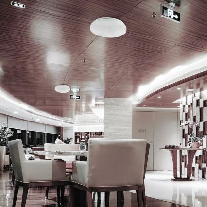 LED Ceiling light LED/12W/230V 26cm 3000K/4000K/6400K