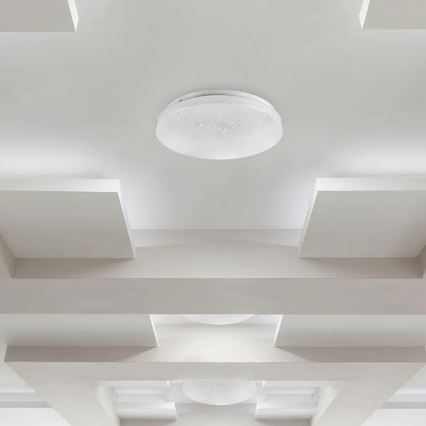 LED Ceiling light LED/12W/230V 26cm 3000K/4000K/6400K