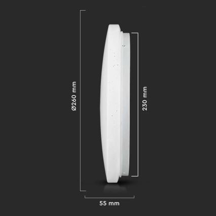 LED Ceiling light LED/12W/230V 26cm 3000K/4000K/6400K