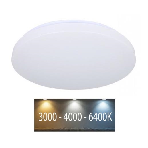 LED Ceiling light LED/12W/230V 26cm 3000K/4000K/6400K